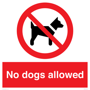No dogs allowed